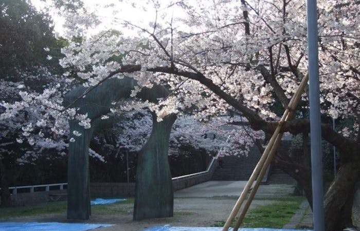 広島市お花見21 広島市 情緒あふれる桜景色を満喫 お花見おすすめ人気スポット9選 一休 Comレストラン 広島市お花見21 広島市 情緒あふれる桜景色を満喫 お花見おすすめ人気スポット9選 一休 Comレストラン