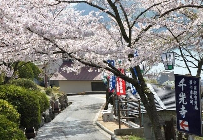21年 広島お花見で行きたい桜名所 広島お花見におすすめ人気スポット18選 一休 Comレストラン 21年 広島お花見で行きたい桜名所 広島お花見におすすめ人気スポット18選 一休 Comレストラン