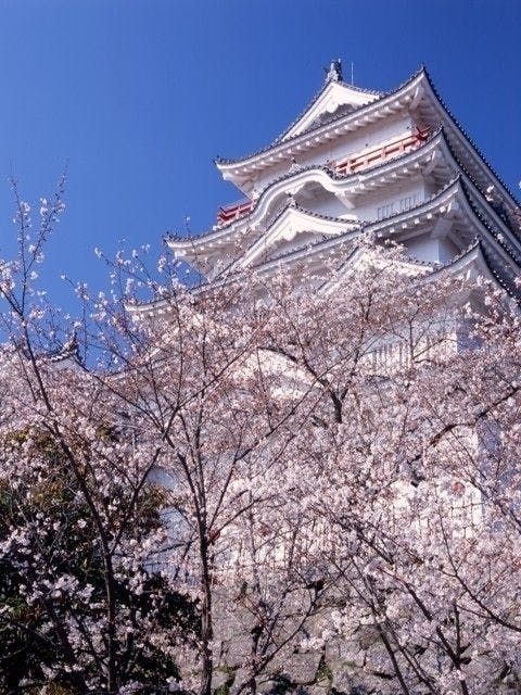 福山お花見22 福山 情緒あふれる桜景色を満喫 お花見おすすめ人気スポット9選 一休 Comレストラン