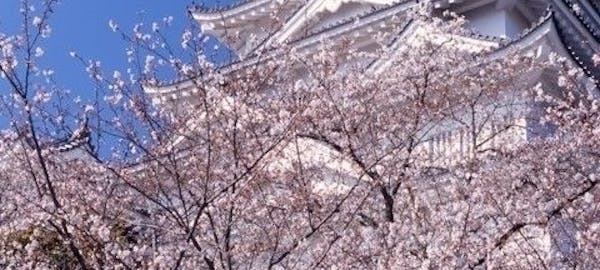 総社 井原 笠岡お花見22 総社 井原 笠岡 情緒あふれる桜景色を満喫 お花見おすすめ人気スポット8選 一休 Comレストラン 総社 井原 笠岡お花見22 総社 井原 笠岡 情緒あふれる桜景色を満喫 お花見おすすめ人気スポット8選 一休 Comレストラン