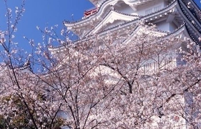 福山お花見22 福山 情緒あふれる桜景色を満喫 お花見おすすめ人気スポット9選 一休 Comレストラン