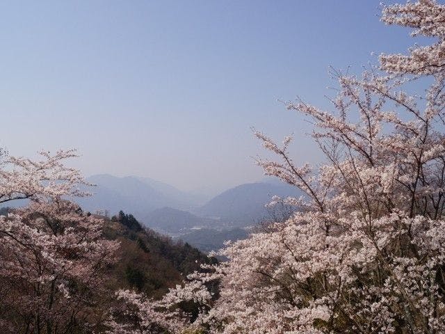 庄原 三次 芸北お花見22 庄原 三次 芸北 情緒あふれる桜景色を満喫 お花見おすすめ人気スポット8選 一休 Comレストラン