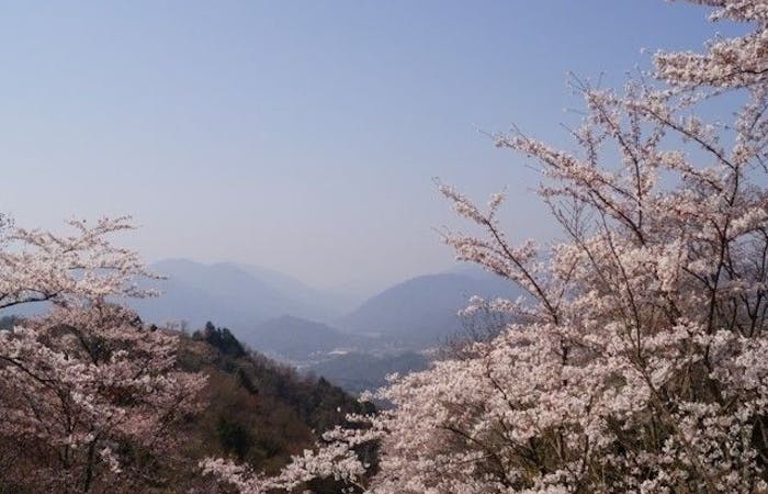 庄原 三次 芸北お花見22 庄原 三次 芸北 情緒あふれる桜景色を満喫 お花見おすすめ人気スポット8選 一休 Comレストラン 庄原 三次 芸北お花見22 庄原 三次 芸北 情緒あふれる桜景色を満喫 お花見おすすめ人気スポット8選 一休 Comレストラン