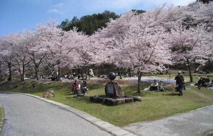 庄原 三次 芸北お花見21 庄原 三次 芸北 情緒あふれる桜景色を満喫 お花見おすすめ人気スポット8選 一休 Comレストラン 庄原 三次 芸北お花見21 庄原 三次 芸北 情緒あふれる桜景色を満喫 お花見おすすめ人気スポット8選 一休 Comレストラン