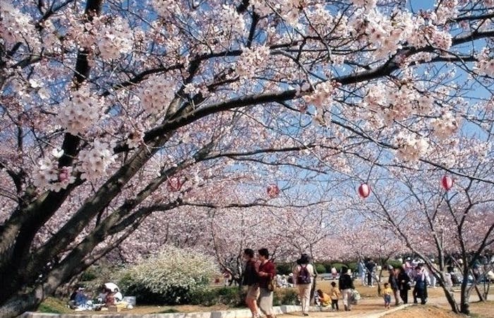 一休レストラン