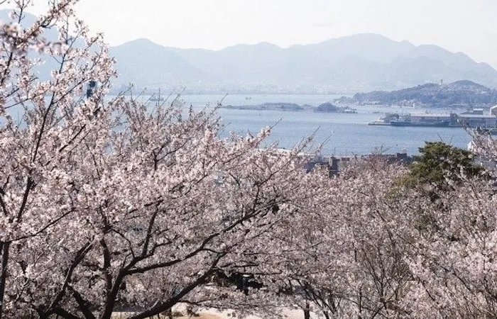 小倉お花見21 小倉 情緒あふれる桜景色を満喫 お花見おすすめ人気スポット12選 一休 Comレストラン 小倉お花見21 小倉 情緒あふれる桜景色を満喫 お花見おすすめ人気スポット12選 一休 Comレストラン