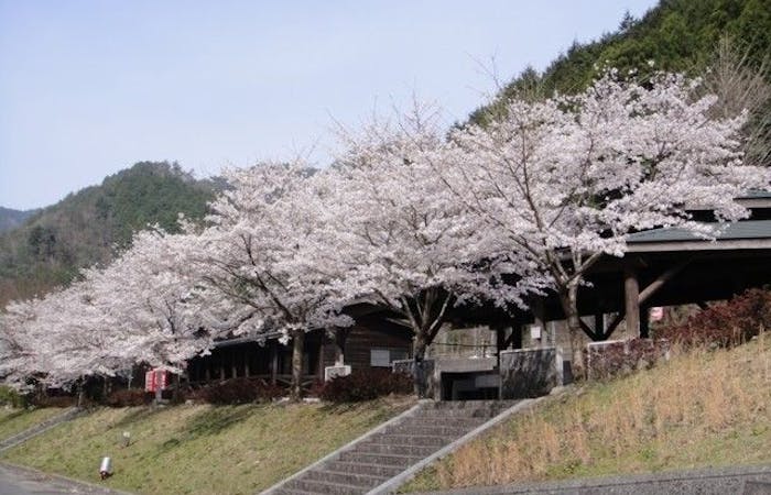 山口市お花見21 山口市 情緒あふれる桜景色を満喫 お花見おすすめ人気スポット7選 一休 Comレストラン 山口市お花見21 山口市 情緒あふれる桜景色を満喫 お花見おすすめ人気スポット7選 一休 Comレストラン