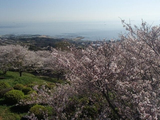 小倉お花見21 小倉 情緒あふれる桜景色を満喫 お花見おすすめ人気スポット12選 一休 Comレストラン