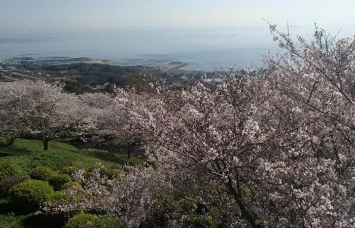 小倉お花見21 小倉 情緒あふれる桜景色を満喫 お花見おすすめ人気スポット12選 一休 Comレストラン 小倉お花見21 小倉 情緒あふれる桜景色を満喫 お花見おすすめ人気スポット12選 一休 Comレストラン