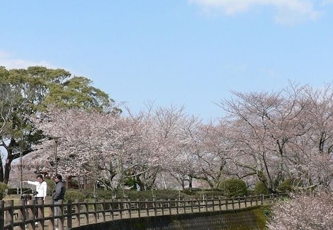 21年 徳島お花見で行きたい桜名所 徳島お花見におすすめ人気スポット9選 一休 Comレストラン 21年 徳島お花見で行きたい桜名所 徳島お花見におすすめ人気スポット9選 一休 Comレストラン