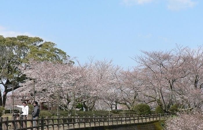 徳島市お花見21 徳島市 情緒あふれる桜景色を満喫 お花見おすすめ人気スポット8選 一休 Comレストラン 徳島市お花見21 徳島市 情緒あふれる桜景色を満喫 お花見おすすめ人気スポット8選 一休 Comレストラン