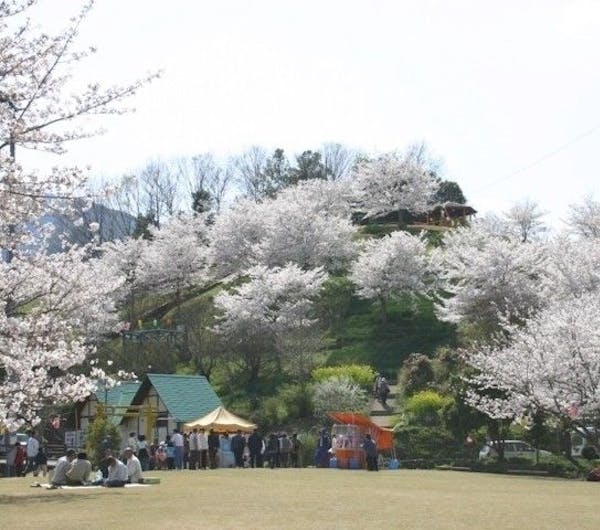 一休レストラン