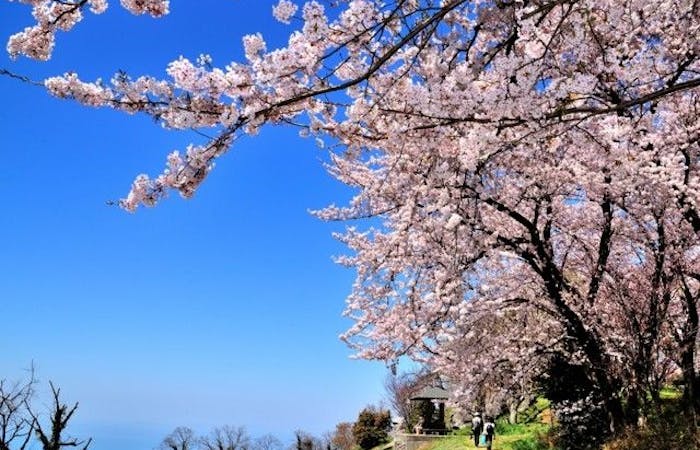 四国中央市お花見22 四国中央市 情緒あふれる桜景色を満喫 お花見おすすめ人気スポット16選 一休 Comレストラン 四国中央市お花見22 四国中央市 情緒あふれる桜景色を満喫 お花見おすすめ人気スポット16選 一休 Comレストラン