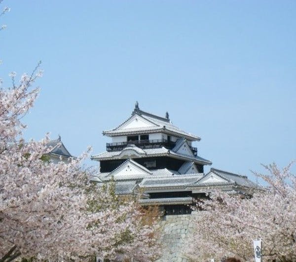 城山公園 愛媛県 愛媛 松山 人気お花見スポット 一休 Comレストラン 城山公園 愛媛県 愛媛 松山 人気お花見スポット 一休 Comレストラン