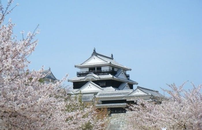 松山お花見22 松山 情緒あふれる桜景色を満喫 お花見おすすめ人気スポット9選 一休 Comレストラン 松山お花見22 松山 情緒あふれる桜景色を満喫 お花見おすすめ人気スポット9選 一休 Comレストラン