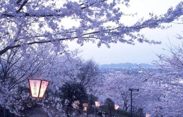 今治 上島お花見21 今治 上島 情緒あふれる桜景色を満喫 お花見おすすめ人気スポット16選 一休 Comレストラン 今治 上島お花見21 今治 上島 情緒あふれる桜景色を満喫 お花見おすすめ人気スポット16選 一休 Comレストラン