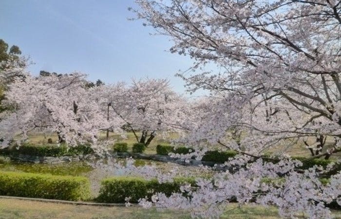 四国中央市お花見21 四国中央市 情緒あふれる桜景色を満喫 お花見おすすめ人気スポット16選 一休 Comレストラン 四国中央市お花見21 四国中央市 情緒あふれる桜景色を満喫 お花見おすすめ人気スポット16選 一休 Comレストラン