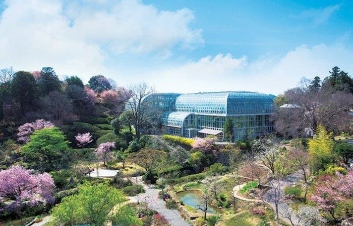 高知市お花見21 高知市 情緒あふれる桜景色を満喫 お花見おすすめ人気スポット10選 一休 Comレストラン 高知市お花見21 高知市 情緒あふれる桜景色を満喫 お花見おすすめ人気スポット10選 一休 Comレストラン
