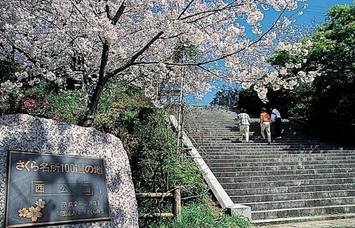 一休レストラン