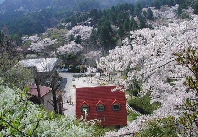 21年 福岡お花見で行きたい桜名所 福岡お花見におすすめ人気スポット14選 一休 Comレストラン 21年 福岡お花見で行きたい桜名所 福岡お花見におすすめ人気スポット14選 一休 Comレストラン