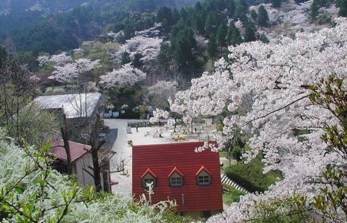 太宰府 宗像お花見21 太宰府 宗像 情緒あふれる桜景色を満喫 お花見おすすめ人気スポット14選 一休 Comレストラン 太宰府 宗像お花見21 太宰府 宗像 情緒あふれる桜景色を満喫 お花見おすすめ人気スポット14選 一休 Comレストラン