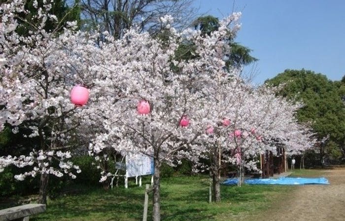 柳川 八女 筑後お花見21 柳川 八女 筑後 情緒あふれる桜景色を満喫 お花見おすすめ人気スポット14選 一休 Comレストラン 柳川 八女 筑後お花見21 柳川 八女 筑後 情緒あふれる桜景色を満喫 お花見おすすめ人気スポット14選 一休 Comレストラン