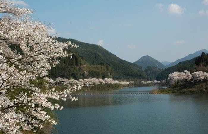 柳川 八女 筑後お花見21 柳川 八女 筑後 情緒あふれる桜景色を満喫 お花見おすすめ人気スポット14選 一休 Comレストラン 柳川 八女 筑後お花見21 柳川 八女 筑後 情緒あふれる桜景色を満喫 お花見おすすめ人気スポット14選 一休 Comレストラン