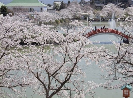 立岡自然公園 熊本 宇土 宇城 美里 人気お花見スポット 一休 Comレストラン 立岡自然公園 熊本 宇土 宇城 美里 人気お花見スポット 一休 Comレストラン