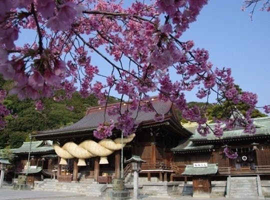 甘木公園 福岡 柳川 八女 筑後 人気お花見スポット 一休 Comレストラン 甘木公園 福岡 柳川 八女 筑後 人気お花見スポット 一休 Comレストラン