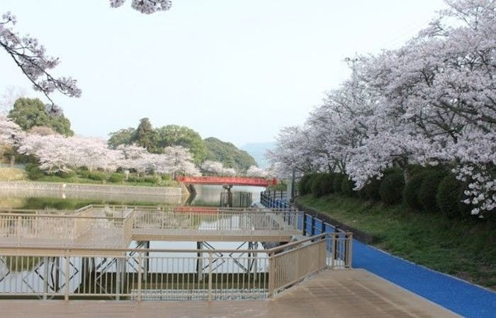 小倉お花見21 小倉 情緒あふれる桜景色を満喫 お花見おすすめ人気スポット12選 一休 Comレストラン