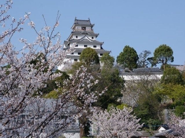 唐津お花見21 唐津 情緒あふれる桜景色を満喫 お花見おすすめ人気スポット8選 一休 Comレストラン