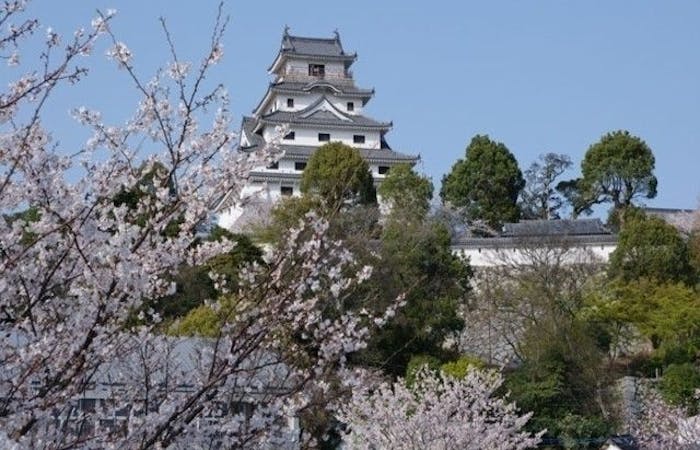 唐津お花見21 唐津 情緒あふれる桜景色を満喫 お花見おすすめ人気スポット8選 一休 Comレストラン 唐津お花見21 唐津 情緒あふれる桜景色を満喫 お花見おすすめ人気スポット8選 一休 Comレストラン