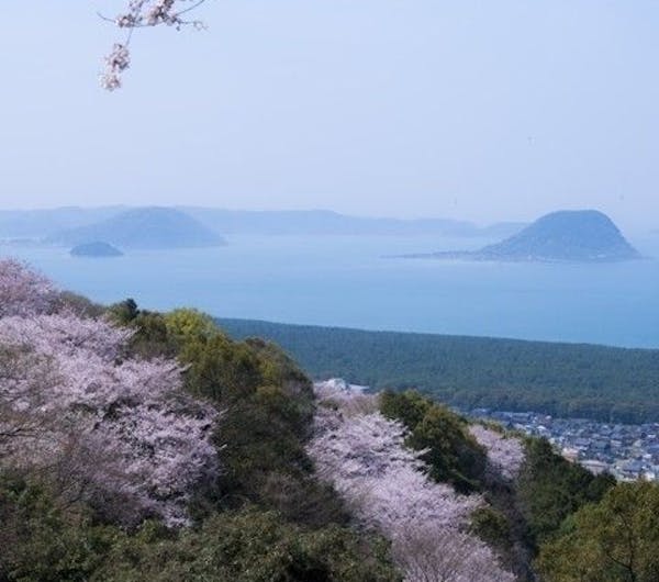 鏡山 佐賀 唐津 人気お花見スポット 一休 Comレストラン 鏡山 佐賀 唐津 人気お花見スポット 一休 Comレストラン