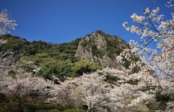 佐世保 ハウステンボスお花見22 佐世保 ハウステンボス 情緒あふれる桜景色を満喫 お花見おすすめ人気スポット7選 一休 Comレストラン 佐世保 ハウステンボスお花見22 佐世保 ハウステンボス 情緒あふれる桜景色を満喫 お花見おすすめ人気スポット7選 一休 Comレストラン