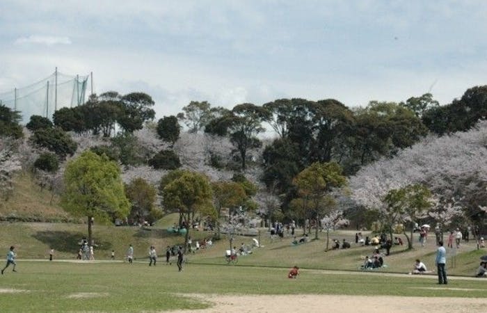 長崎市お花見21 長崎市 情緒あふれる桜景色を満喫 お花見おすすめ人気スポット5選 長崎市お花見21 長崎市 情緒あふれる桜景色を満喫 お花見おすすめ人気スポット5選