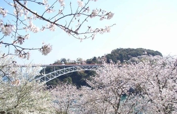 諫早 大村 波佐見お花見21 諫早 大村 波佐見 情緒あふれる桜景色を満喫 お花見おすすめ人気スポット6選 一休 Comレストラン 諫早 大村 波佐見お花見21 諫早 大村 波佐見 情緒あふれる桜景色を満喫 お花見おすすめ人気スポット6選 一休 Comレストラン