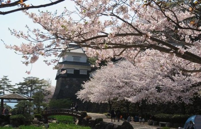宇土 宇城 美里お花見21 宇土 宇城 美里 情緒あふれる桜景色を満喫 お花見おすすめ人気スポット5選 一休 Comレストラン 宇土 宇城 美里お花見21 宇土 宇城 美里 情緒あふれる桜景色を満喫 お花見おすすめ人気スポット5選 一休 Comレストラン
