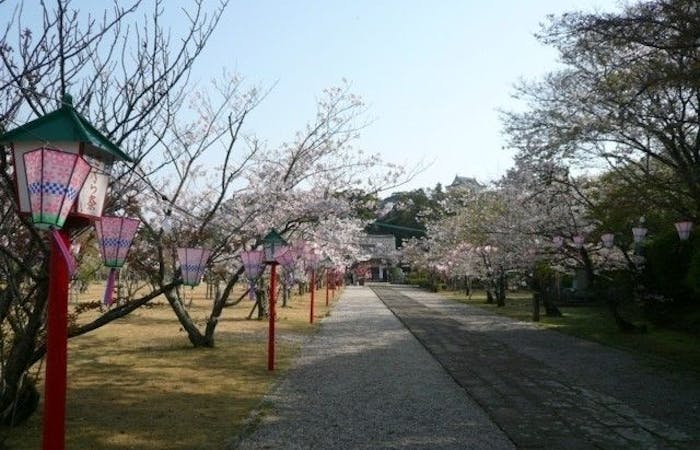 平戸お花見22 平戸 情緒あふれる桜景色を満喫 お花見おすすめ人気スポット4選 一休 Comレストラン 平戸お花見22 平戸 情緒あふれる桜景色を満喫 お花見おすすめ人気スポット4選 一休 Comレストラン