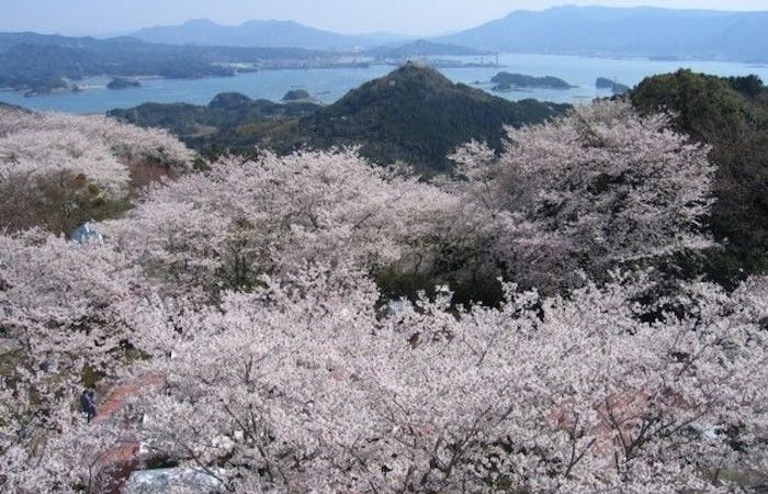 松浦お花見22 松浦 情緒あふれる桜景色を満喫 お花見おすすめ人気スポット7選 一休 Comレストラン 松浦お花見22 松浦 情緒あふれる桜景色を満喫 お花見おすすめ人気スポット7選 一休 Comレストラン