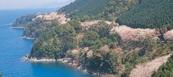 宇土 宇城 美里お花見21 宇土 宇城 美里 情緒あふれる桜景色を満喫 お花見おすすめ人気スポット5選 一休 Comレストラン 宇土 宇城 美里お花見21 宇土 宇城 美里 情緒あふれる桜景色を満喫 お花見おすすめ人気スポット5選 一休 Comレストラン