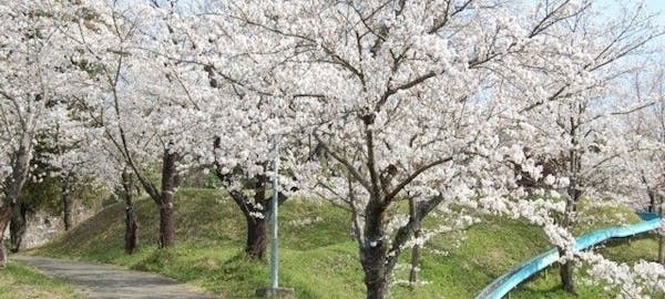 宇土 宇城 美里お花見21 宇土 宇城 美里 情緒あふれる桜景色を満喫 お花見おすすめ人気スポット5選 一休 Comレストラン 宇土 宇城 美里お花見21 宇土 宇城 美里 情緒あふれる桜景色を満喫 お花見おすすめ人気スポット5選 一休 Comレストラン