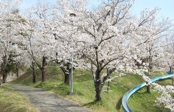 玉名 山鹿 菊池お花見21 玉名 山鹿 菊池 情緒あふれる桜景色を満喫 お花見おすすめ人気スポット9選 一休 Comレストラン 玉名 山鹿 菊池お花見21 玉名 山鹿 菊池 情緒あふれる桜景色を満喫 お花見おすすめ人気スポット9選 一休 Comレストラン
