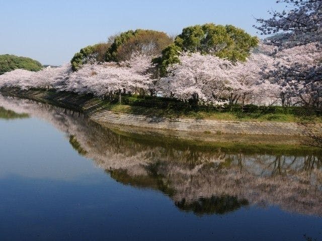 宇土市／立岡自然公園／BBQ／配達／バーベキューレンタル／熊本／花見／桜