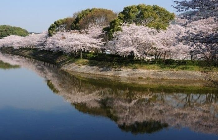 宇土 宇城 美里お花見21 宇土 宇城 美里 情緒あふれる桜景色を満喫 お花見おすすめ人気スポット5選 一休 Comレストラン 宇土 宇城 美里お花見21 宇土 宇城 美里 情緒あふれる桜景色を満喫 お花見おすすめ人気スポット5選 一休 Comレストラン