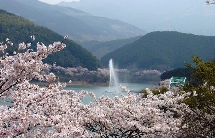 宇土 宇城 美里お花見21 宇土 宇城 美里 情緒あふれる桜景色を満喫 お花見おすすめ人気スポット5選 一休 Comレストラン 宇土 宇城 美里お花見21 宇土 宇城 美里 情緒あふれる桜景色を満喫 お花見おすすめ人気スポット5選 一休 Comレストラン