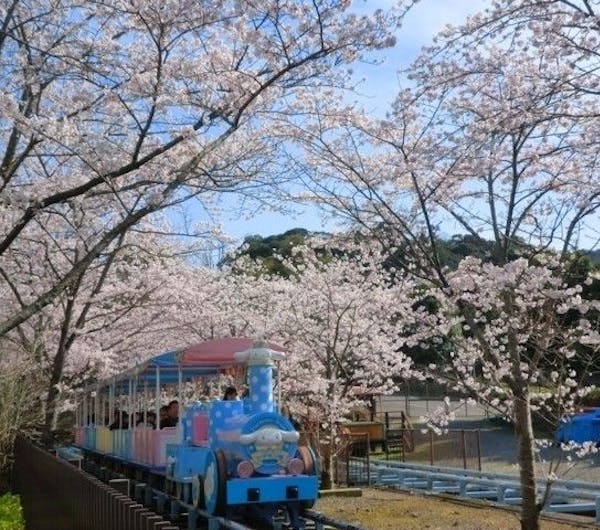 ハーモニーランド 大分 別府 別府温泉 人気お花見スポット 一休 Comレストラン ハーモニーランド 大分 別府 別府温泉 人気お花見スポット 一休 Comレストラン