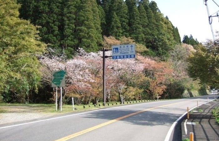 宮崎市お花見22 宮崎市 情緒あふれる桜景色を満喫 お花見おすすめ人気スポット11選 一休 Comレストラン 宮崎市お花見22 宮崎市 情緒あふれる桜景色を満喫 お花見おすすめ人気スポット11選 一休 Comレストラン