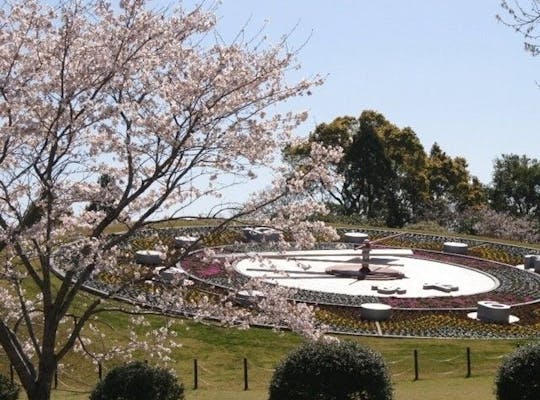 平和市民公園 大分 大分市 人気お花見スポット 一休 Comレストラン 平和市民公園 大分 大分市 人気お花見スポット 一休 Comレストラン