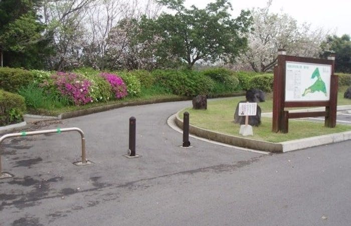 鹿児島市お花見21 鹿児島市 情緒あふれる桜景色を満喫 お花見おすすめ人気スポット9選 一休 Comレストラン 鹿児島市お花見21 鹿児島市 情緒あふれる桜景色を満喫 お花見おすすめ人気スポット9選 一休 Comレストラン