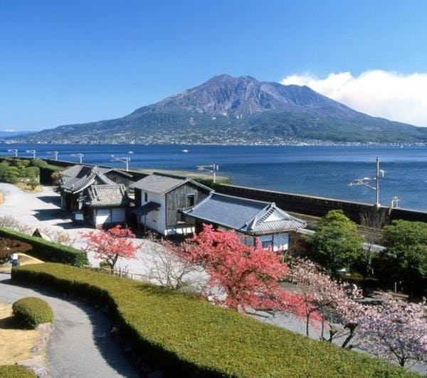 名勝 仙巌園 鹿児島 鹿児島市 人気お花見スポット 一休 comレストラン